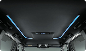 LEDルーフカラーイルミネーション全車標準装備
					